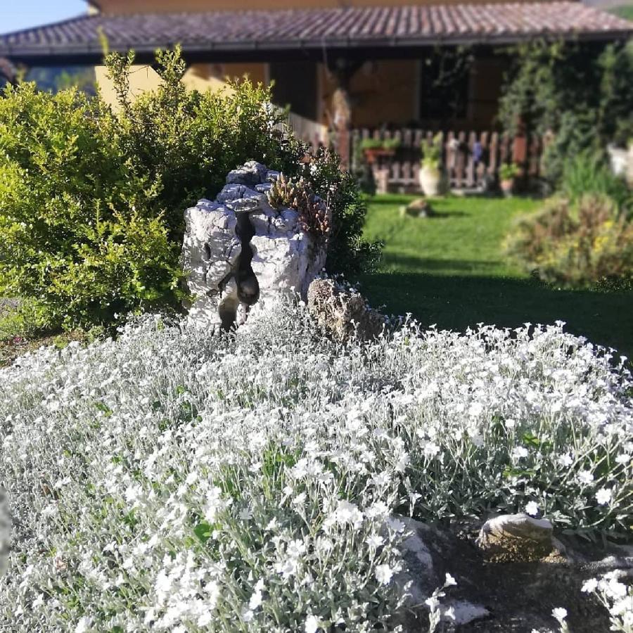 B&B Le Ginestre Castelli Eksteriør billede